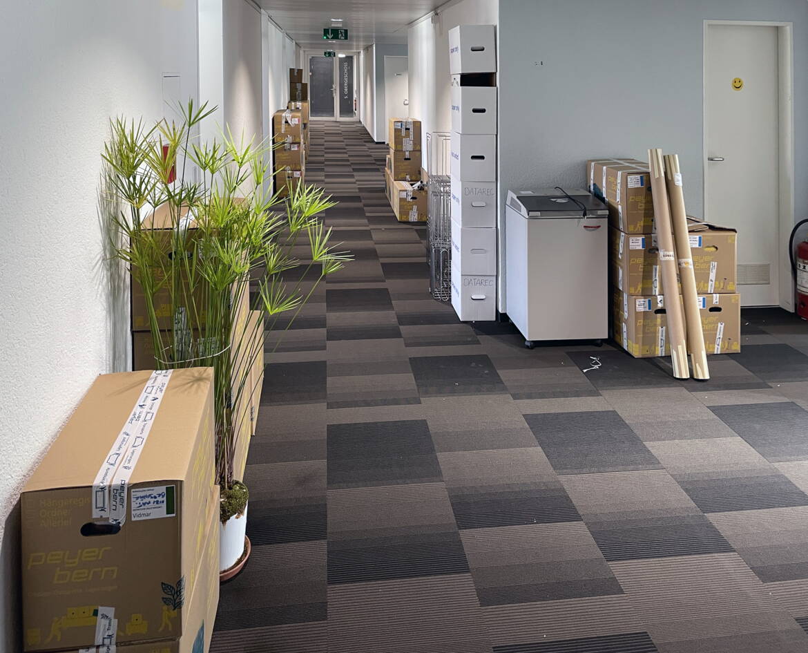 bild_2_vidmar.jpg bild_2_vidmar.jpg