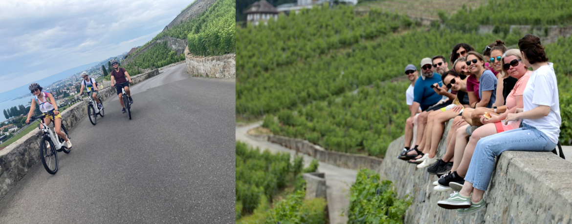 bild_ebike.png bild_ebike.png